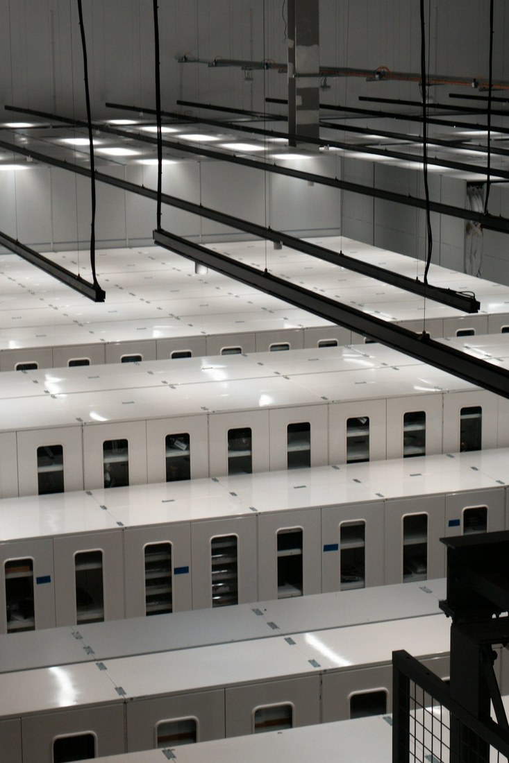 Rows of server racks in a managed data center